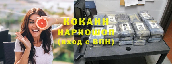сатива Карталы