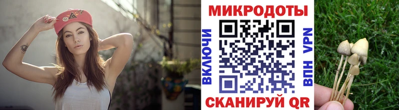 Псилоцибиновые грибы Psilocybe  Купить  Нягань 